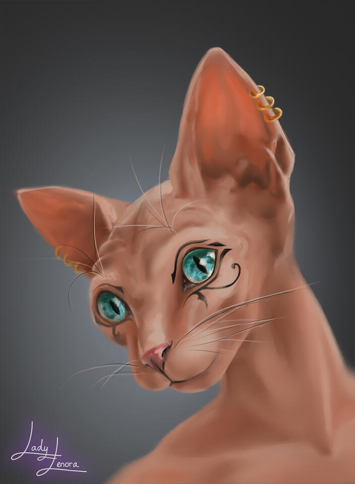 Tabaxi rogue Luna | D&D